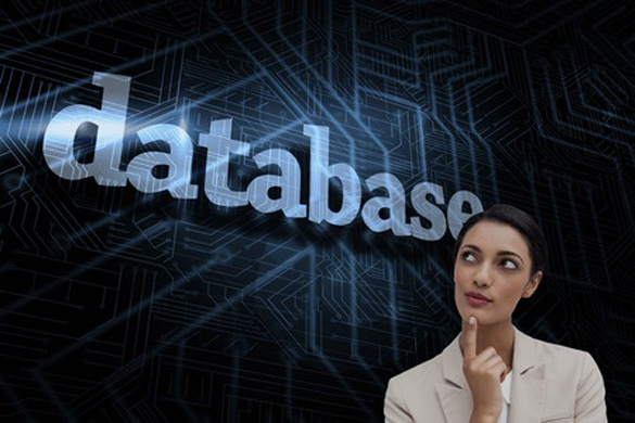 Marketing Database